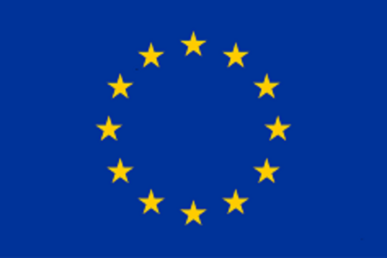 Logo EU: modra zastava Evropske unije, na njej 12 rumenih peterokrakih zvezd, razporejenih v krogu