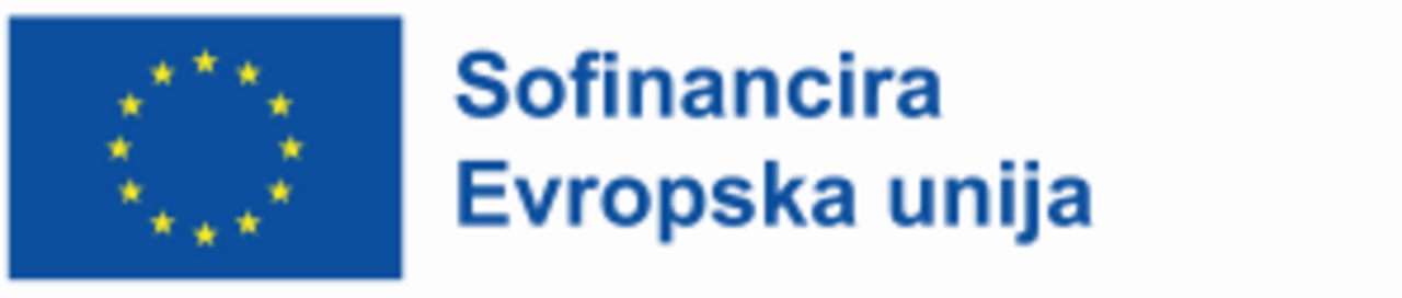 Logotip z zastavo EU desno in napisom levo: Sofinancira Evropska unija